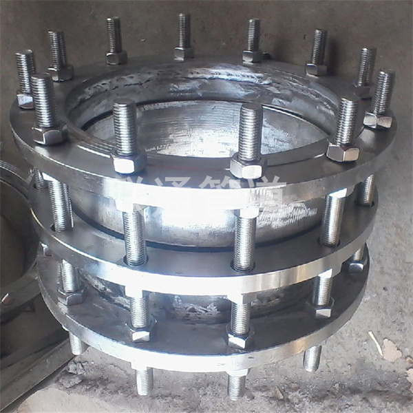 �ӱ������s���^