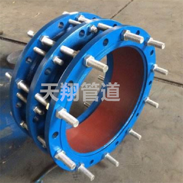 ���C�����s���^